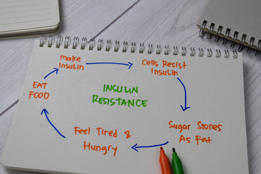 notebook showing the pathway for insulin resistance being a cycle of eating food, making insulin, cells resisting insulin, sugar being stored as fat and feeling tired and hungry which starts the cycle again
